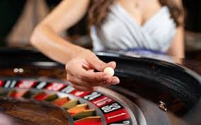 Proses verifikasi akun tvtogel dan menu tier loyalitas menampilkan manfaat Bronze hingga Platinum